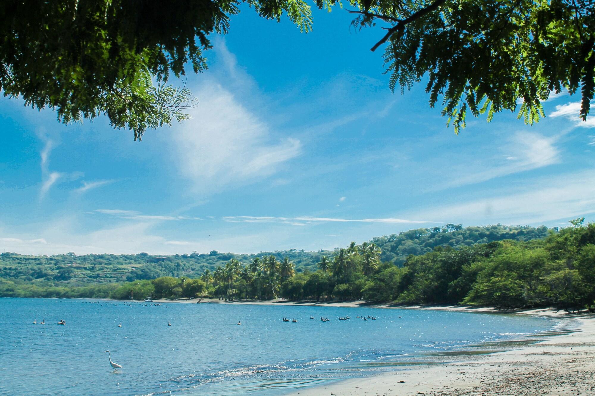 Papagayo Golden Palms Beachfront Hotel Panamá Εξωτερικό φωτογραφία